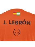 Babolat Crew Neck Orange Tee Réplica Lebron Men - Image 5